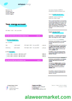 Octopus Energy utility business bill SCR page 1